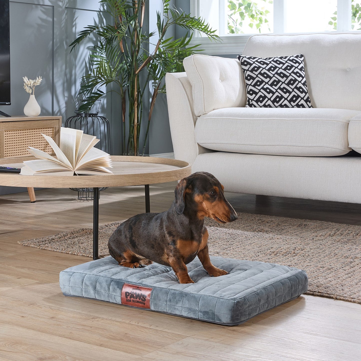 Paws for Slumber Orthopedic Small Pet Bed
