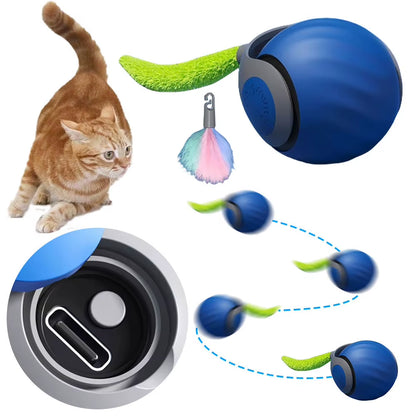 Cat Interactive Ball Rechargeable Smart Pet Electric Toy Automatic Rolling Ball Simulated Tail Dog Cat Training Teaser