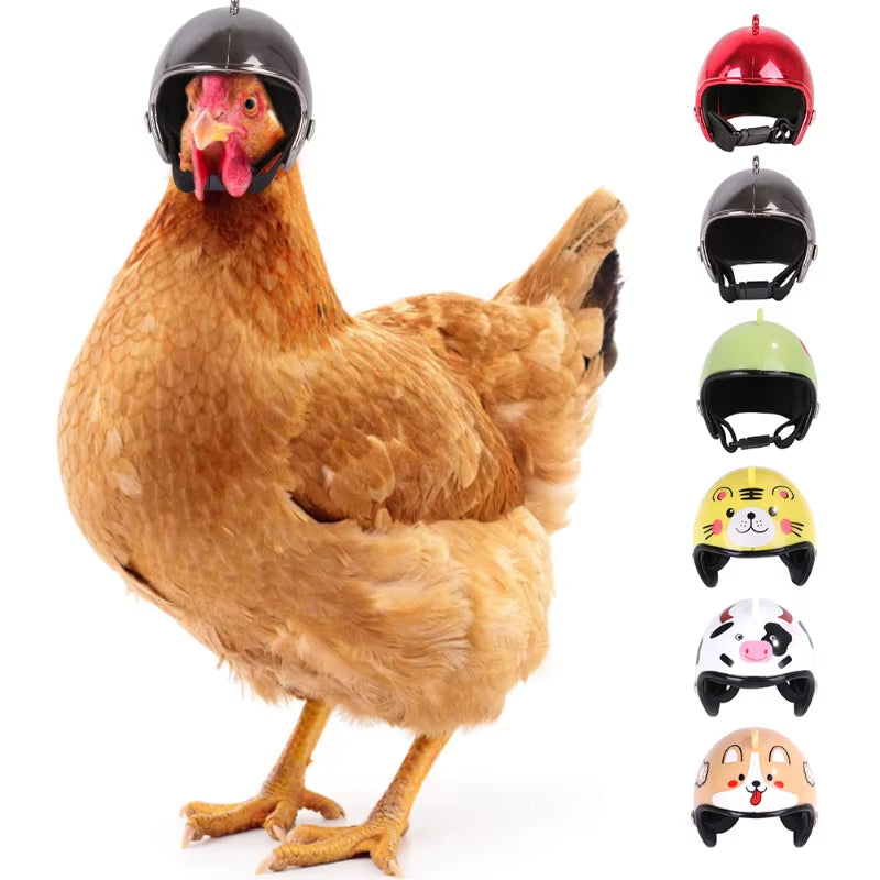 1PC Pet Chicken Helmet Small Pet Poultry Bird Duck Headgear Hat Caps Head Protector Bird Head Helmet Pet Supplies