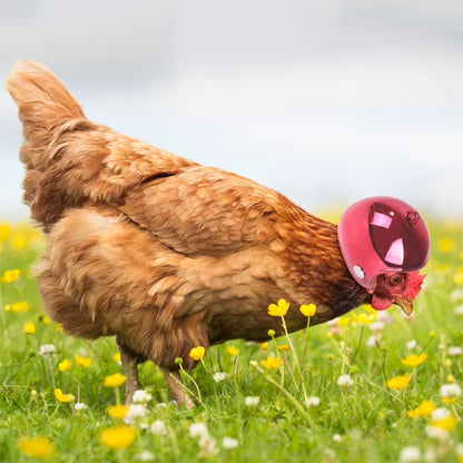 1PC Pet Chicken Helmet Small Pet Poultry Bird Duck Headgear Hat Caps Head Protector Bird Head Helmet Pet Supplies
