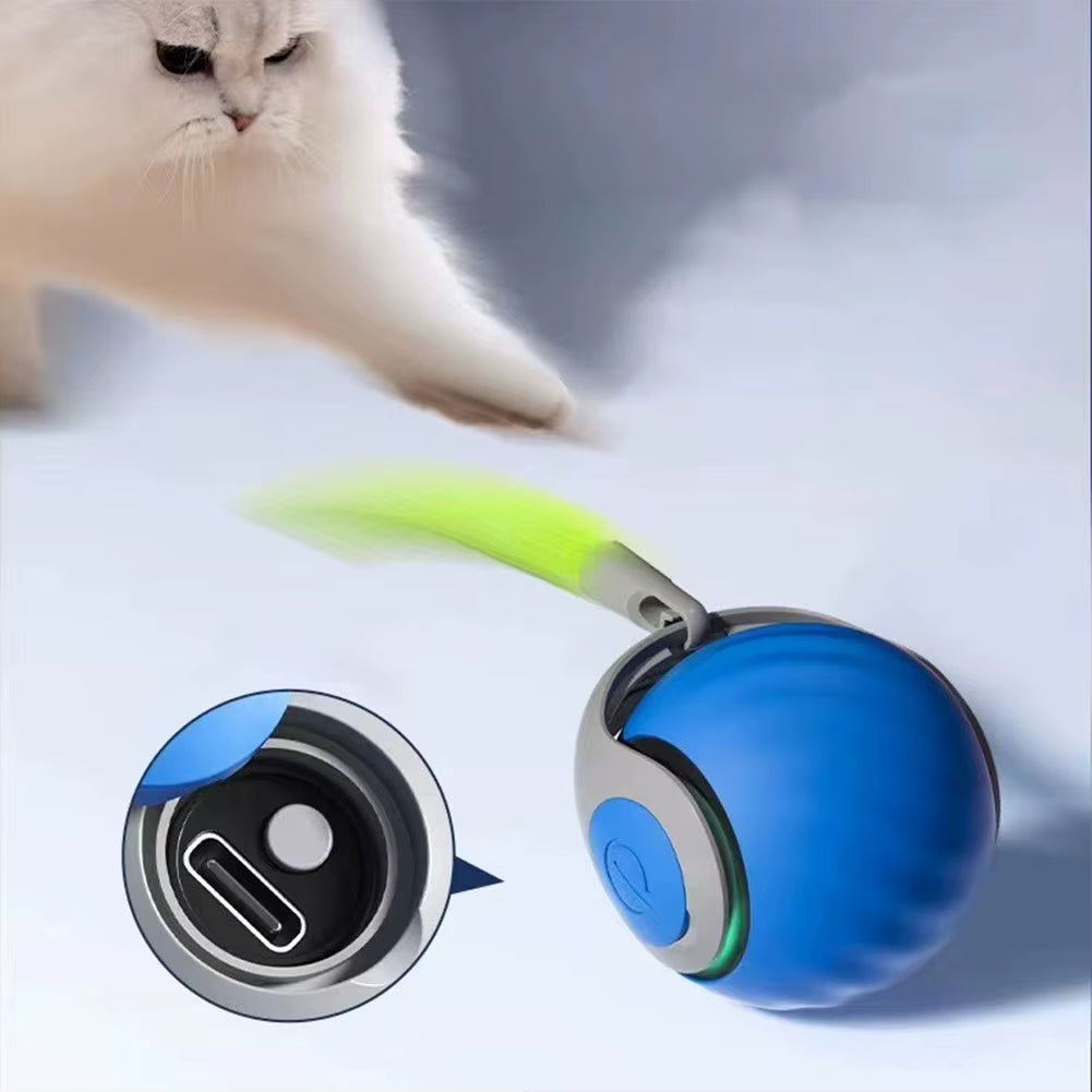 Cat Interactive Ball Rechargeable Smart Pet Electric Toy Automatic Rolling Ball Simulated Tail Dog Cat Training Teaser
