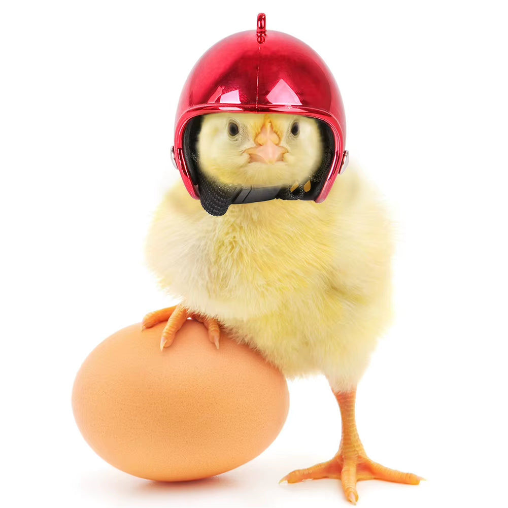 1PC Pet Chicken Helmet Small Pet Poultry Bird Duck Headgear Hat Caps Head Protector Bird Head Helmet Pet Supplies