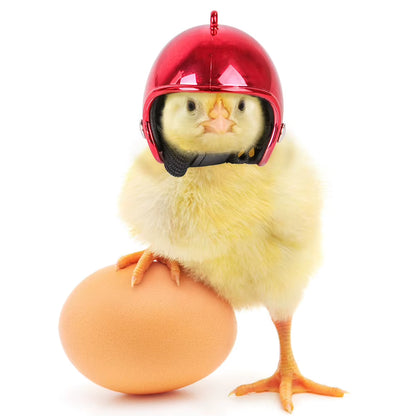1PC Pet Chicken Helmet Small Pet Poultry Bird Duck Headgear Hat Caps Head Protector Bird Head Helmet Pet Supplies
