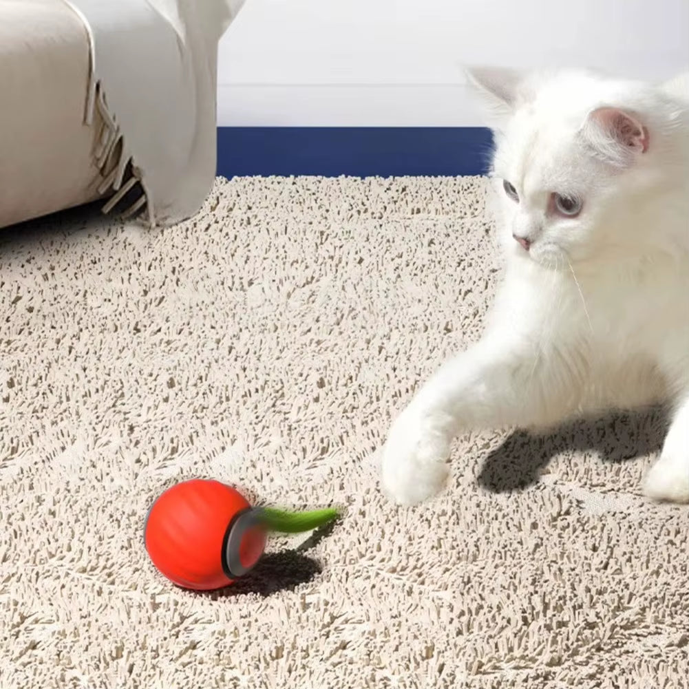Cat Interactive Ball Rechargeable Smart Pet Electric Toy Automatic Rolling Ball Simulated Tail Dog Cat Training Teaser