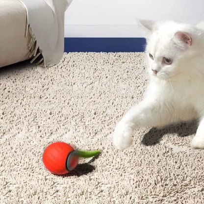 Cat Interactive Ball Rechargeable Smart Pet Electric Toy Automatic Rolling Ball Simulated Tail Dog Cat Training Teaser